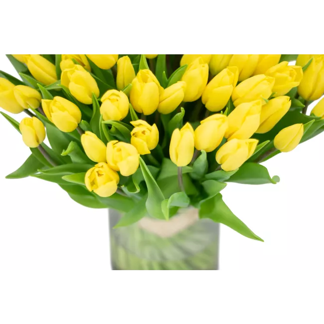 Kytice tulipánů